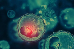 新余试管医院费用高却成功率领先？揭秘背后原因！