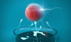 邯郸市人民医院试管技术的优势及服务质量介绍