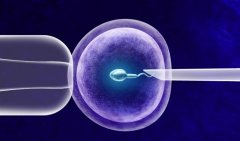 襄阳三代试管费用明细，三代试管包男孩的费用构成