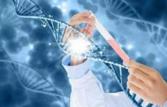 试管促排打完破卵针后的时间安排及注意事项