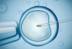 试管移植优质胚胎，宝宝健康有保障！速来了解这一孕育新发现！