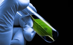 试管鲜胚移植后第六天，胚胎是否已着床？解读大白板测试结果的意义