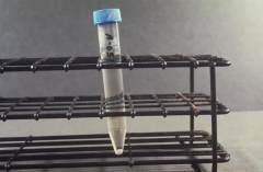 在试管需要多少钱？一年花费详细解析，助你无忧启程！