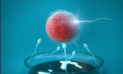 试管促排单周期时间及请假天数，具体情况还需咨询医生