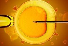 试管鲜胚移植四天后成功的7个征兆，需要进一步进行查验