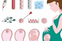 试管胚胎移植后14天如何饮食？这三类食物值得推荐