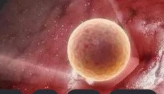 冻胚移植后雌二醇低的原因，提高冻胚移植后雌二醇低成功率的方法