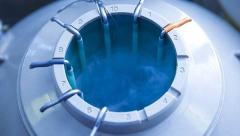 冻胚解冻升级是不是人人能做？对成功率有何影响？