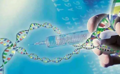 试管长方案备孕后为何卵泡变小？深度剖析内分泌异常之谜