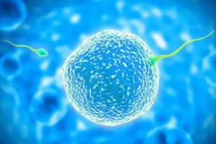 镇江三代试管能选性别，生'男'孩费用明细如下！