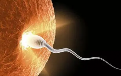 西安试管性别要求之探讨：可行性与成功率解析