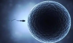 TSH高在试管移植中的影响：过程和结果全面介绍