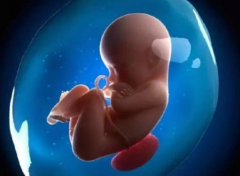 HIV女性也能尝试试管？揭秘重要性与医疗新突破！