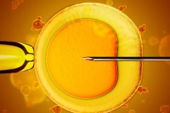 三个胚胎同时移植可以提高成功率吗？注意身体条件避免适得其反