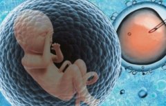 增加冻胚6细胞2级移植成功率的方法及评估标准