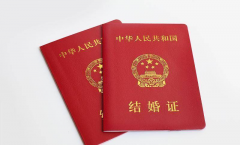 警惕代办假证风险！国内单身未婚人士做试管需结婚证