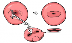 宫颈锥切手术后多久可以做试管？探索宫颈锥切做试管的可能性！