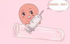 WFI试管的专业团队介绍，试管技术的原理
