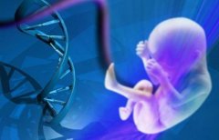 为什么试管冻胚收费会有差异？试管冻胚收费情况解析