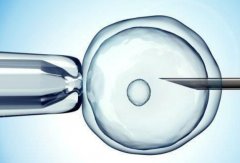 如何计算试管孕期？试管孕期防止胎停的三个法宝