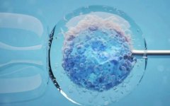 未婚人士如何正规进行试管：关键步骤与指导！