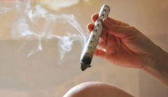 黄体酮注射后，艾灸热敷如何助力试管成功？深度剖析