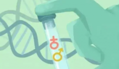 2024年重庆西南医院试管成功率预估，助孕之路更明朗