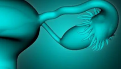 西藏试管私人医院排名，选择困难症患者必备指南