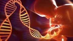 国内落户不再是难题！单身试管成功的三套应对方案大揭秘！