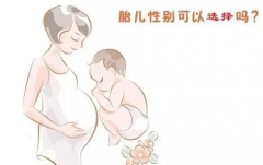 长沙私人试管选性别有技巧，需要满足如下条件！