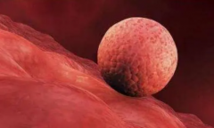 从胚胎着床失败到成功受孕：选对试管医生的决定性一步！