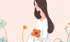 拉霍亚试管中心费用大公开：试管全程费用及明细清单