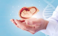 西安试管全攻略：费用明细详尽解析，2024报销流程速览