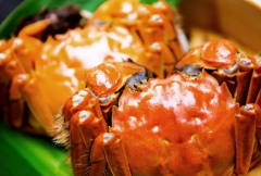 试管促排期饮食推荐，螃蟹等海鲜尽量不要吃！