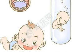 新加坡试管之路：结婚证非唯一门槛，全面了解必备证件流程