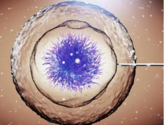 胚胎移植前拔智齿，可以吗？其实对试管结果影响不大，轻松了解！