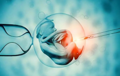 一看就懂的试管胚胎评级指南：轻松解读你的胚胎报告！