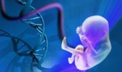 囊胚移植第三天，这些迹象可能悄悄告诉你“好孕来啦”！四大信号大