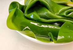 试管移植后吃海带会影响着床吗？揭秘孕期补碘的正确姿势！