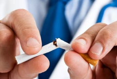 健康警钟！胚胎移植术后吸烟，胚胎着床与成长的隐形杀手！