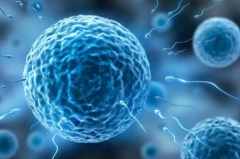 囊胚移植16日见褐色分泌物？正常or预警？3个原因必看！