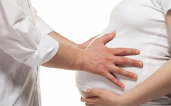 揭秘试管胚胎移植：成熟卵泡数量多少最佳？胚胎质量至关重要！