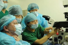 衢州哪里能做试管？公立医院排名榜，助你轻松选择