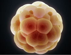 试管成功率有保障！南宁市第二人民医院教你如何选对医生