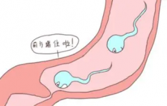 梗阻性无精症能做试管吗？可采用以下三种方法！