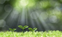 试管打免疫球蛋白调节免疫系统，改善子宫内膜血液循环