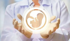 葫芦岛试管优选：盛京医院VS202医院，哪家更胜一筹？