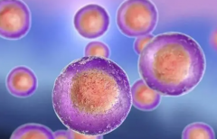 双鲜胚移植成功率知多少？医生深度剖析，一次看懂