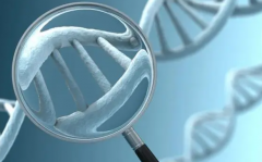 胚胎移植失败真相：优质胚胎为何也会不着床？