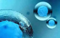 揭秘囊胚移植成功先兆：出血竟是好兆头？专家详细解读